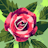 Unknown user avatar